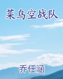 菜鸟空战队