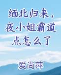 缅北归来，夜小姐霸道点怎么了TXT小说