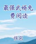 最强武婿免费阅读