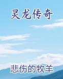 灵龙传奇
