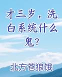 才三岁，洗白系统什么鬼？小说推荐