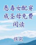 恶毒女配穿成圣母免费阅读