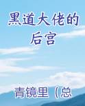 黑道大佬的后宫原著小说