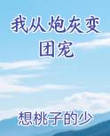 炮灰变团宠的小说