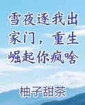 雪夜逐我出家门，重生崛起你疯啥