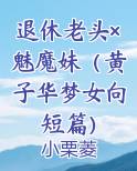 退休老头×魅魔妹（黄子华梦女向短篇）小说推荐