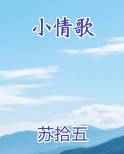 小情歌TXT小说