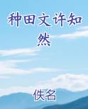 种田文许知然电子书