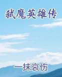 弑魔英雄传小说影视剧