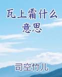 瓦上霜什么意思TXT小说