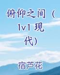 俯仰之间（1v1 现代）小说排行榜